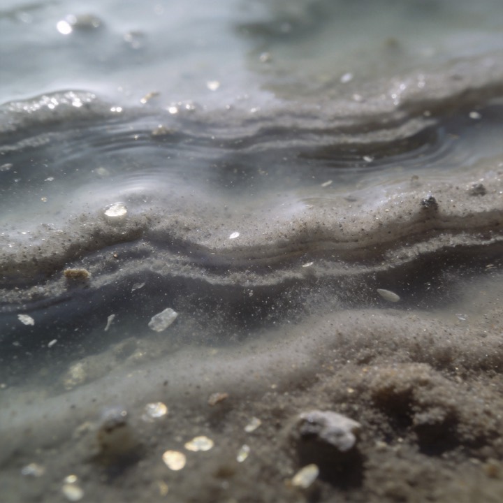 Silt cover art